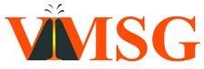 VMSG logo